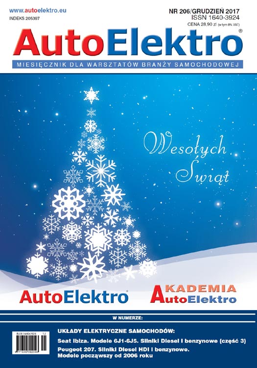 AE Nr 206 grudzień 2017